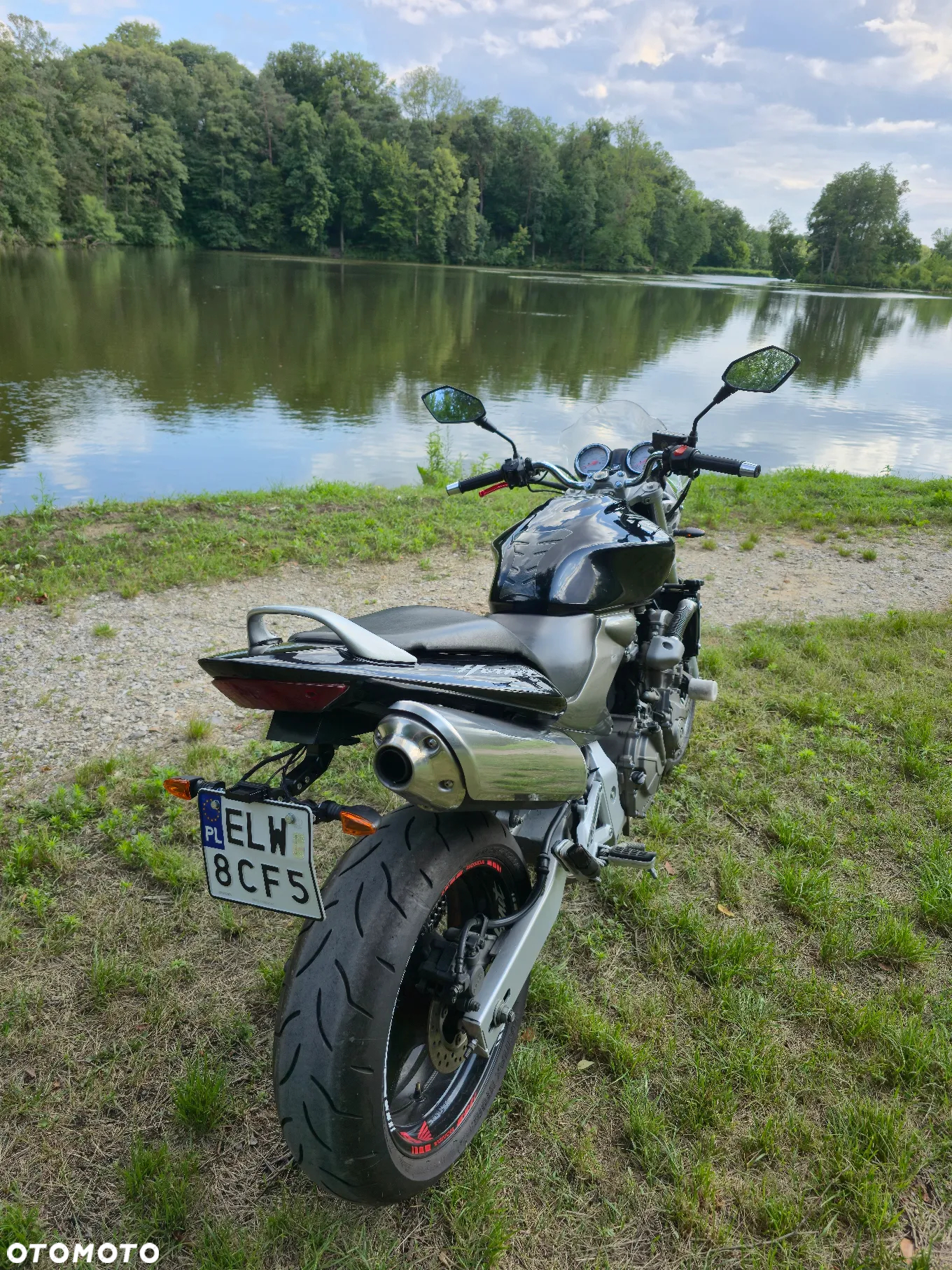 Honda Hornet - 6