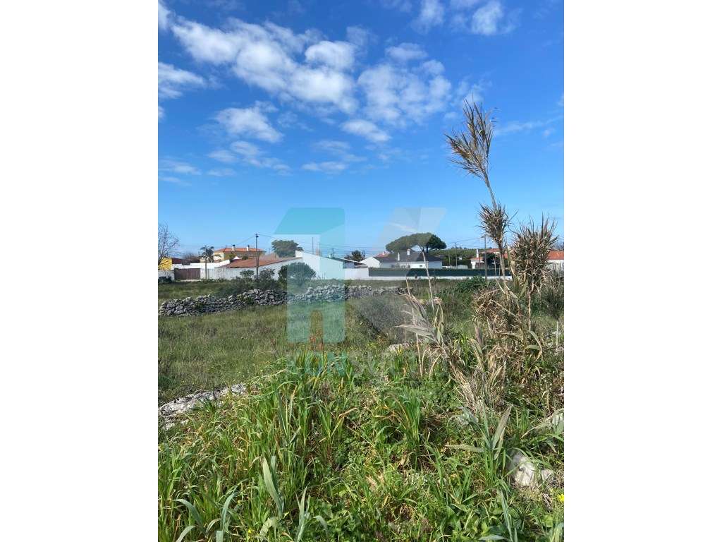 Oportunidade de projeto - Terreno Urbano - Terrugem 4700m2 - Grande imagem: 5/6