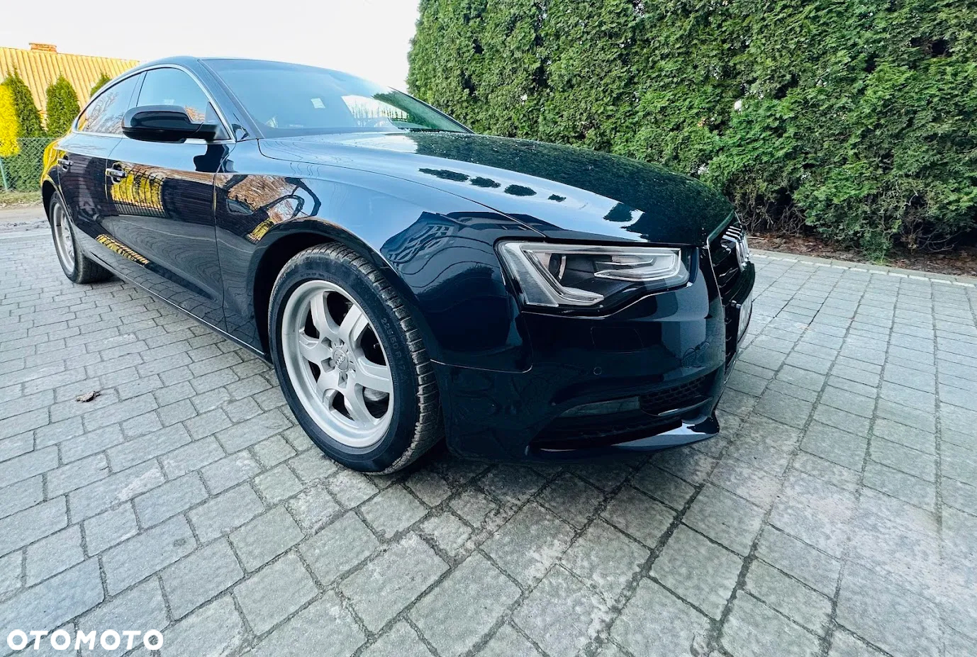 Audi A5 2.0 TDI clean diesel Multitronic - 11