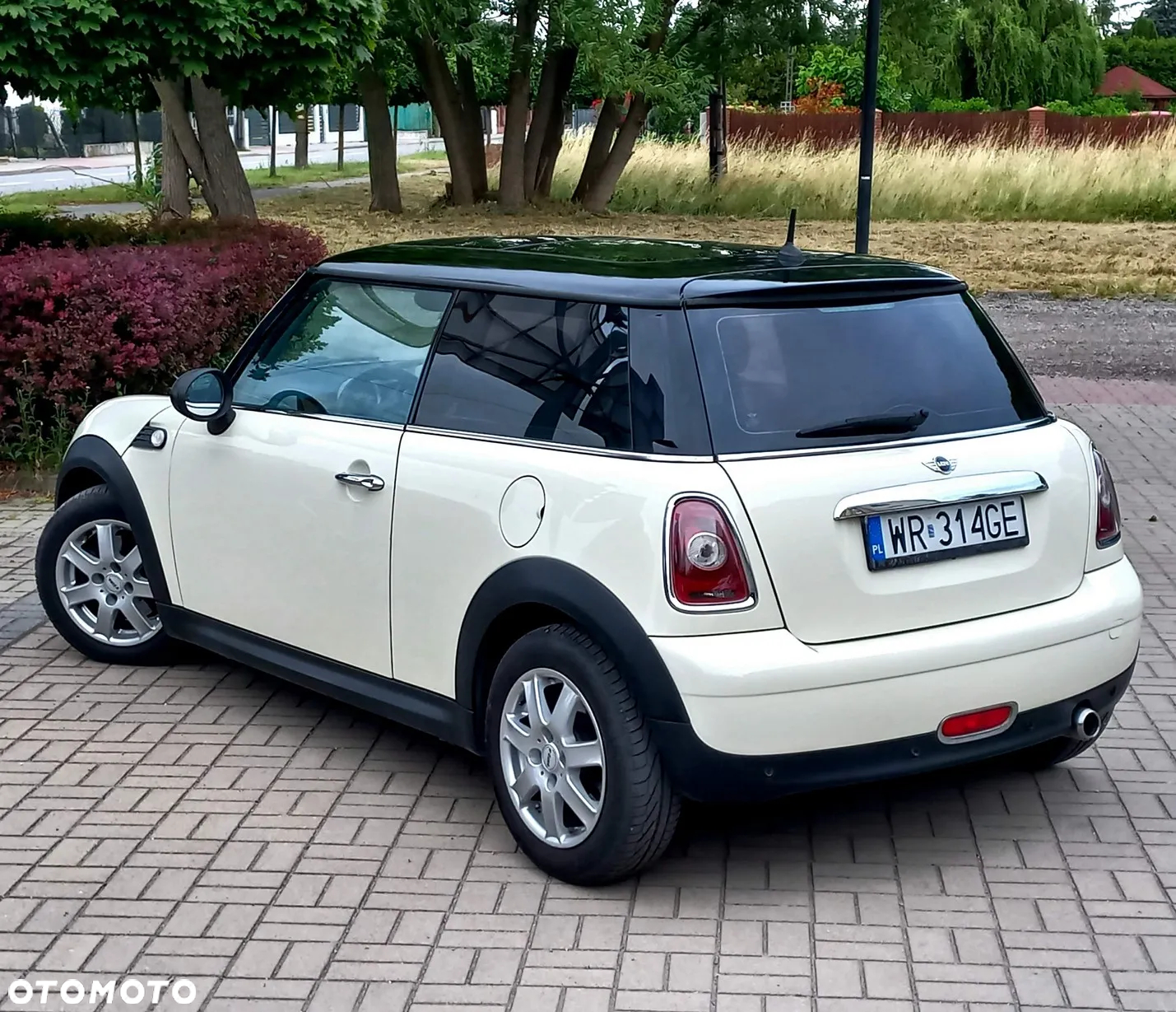 MINI ONE - 10