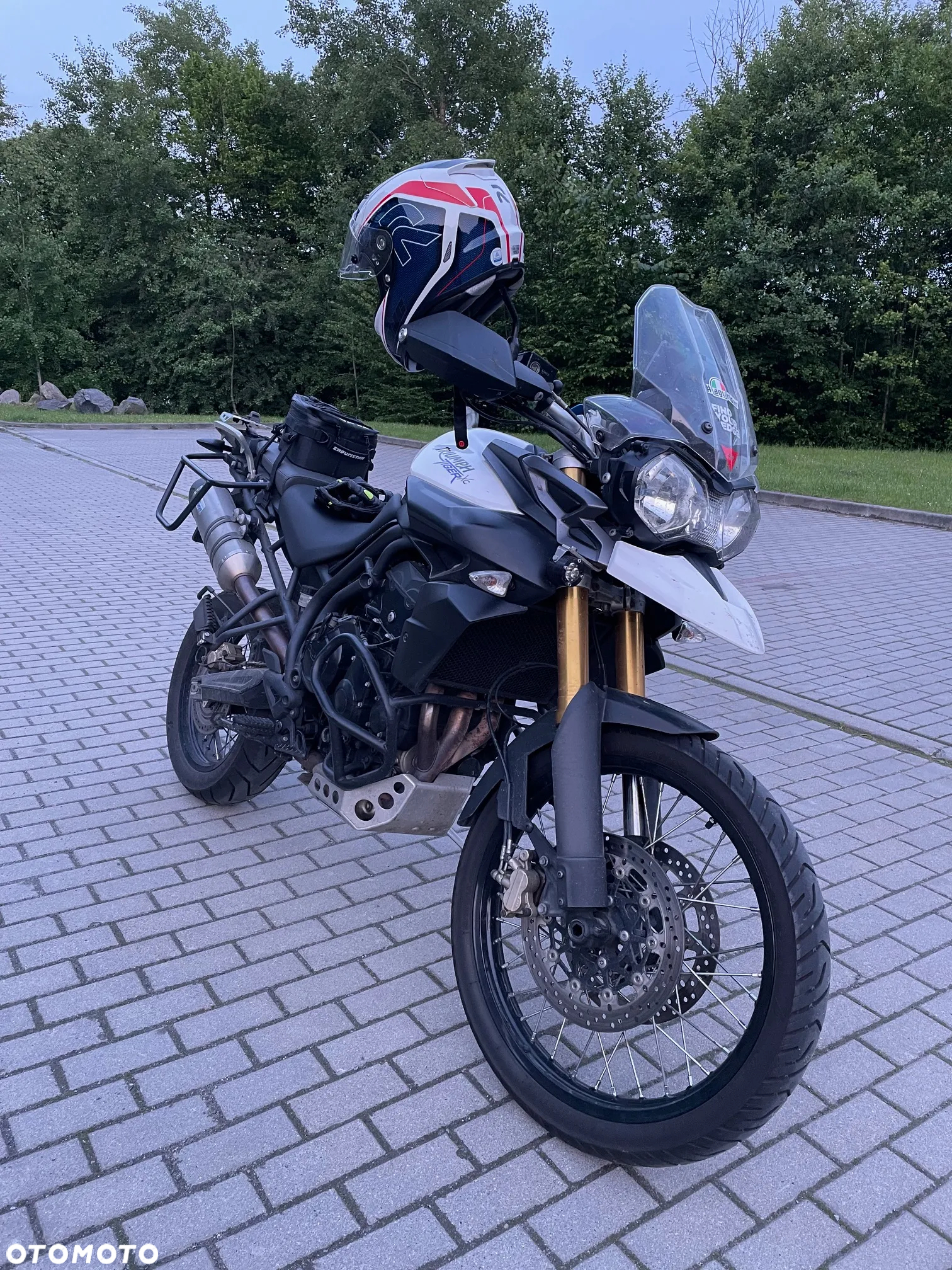 Triumph Tiger - 13