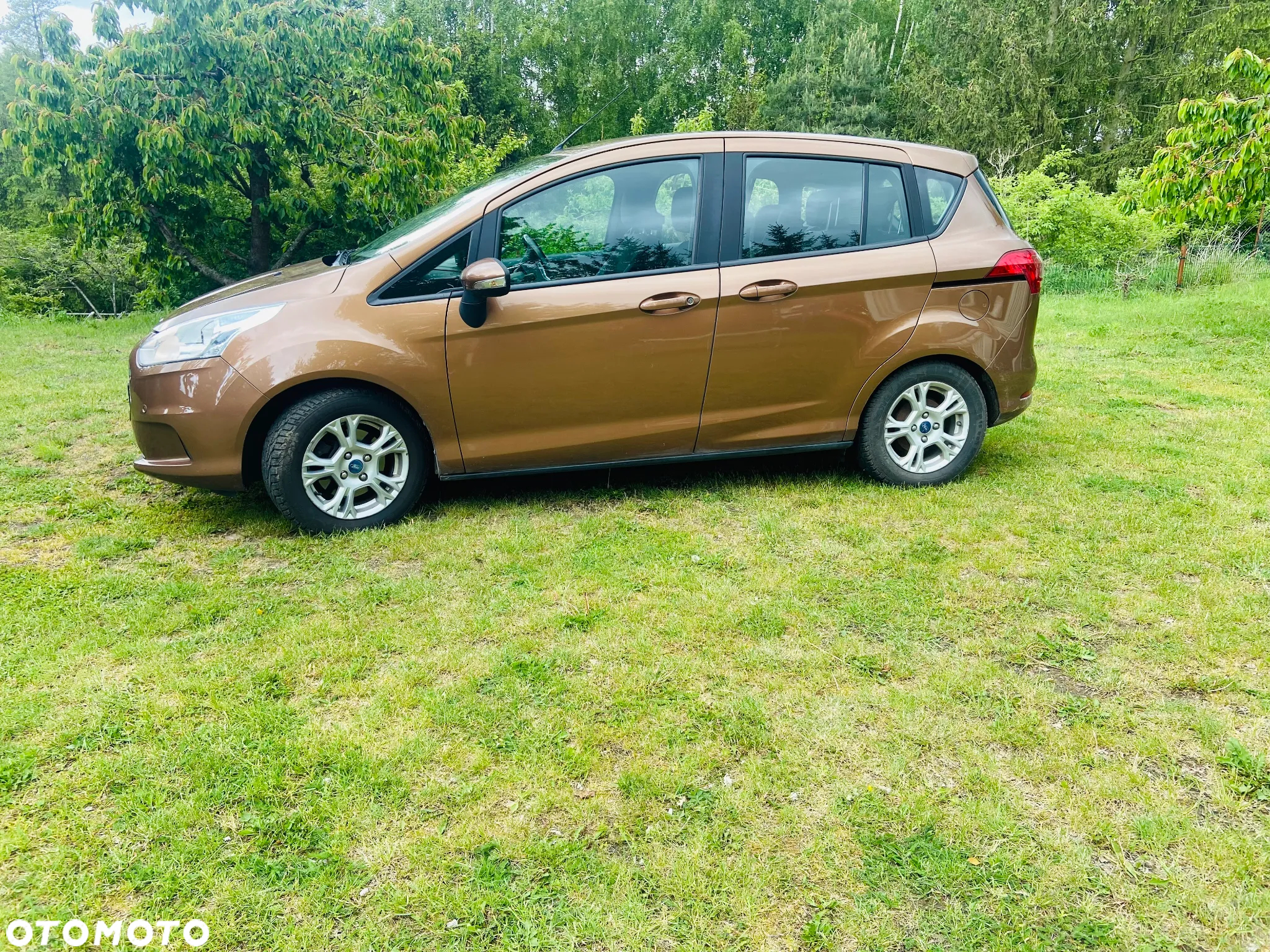 Ford B-MAX 1.0 EcoBoost Titanium ASS - 2
