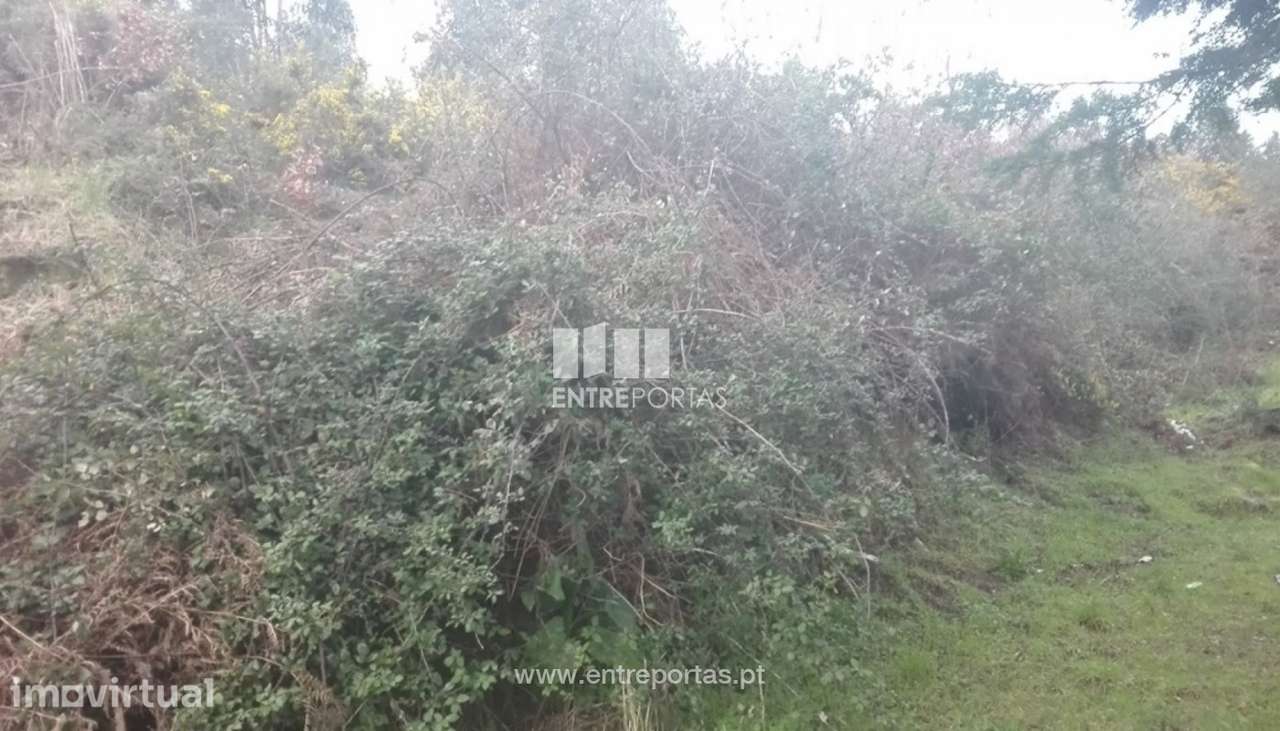 Venda Terreno, Sande, Marco de Canaveses - Grande imagem: 3/6