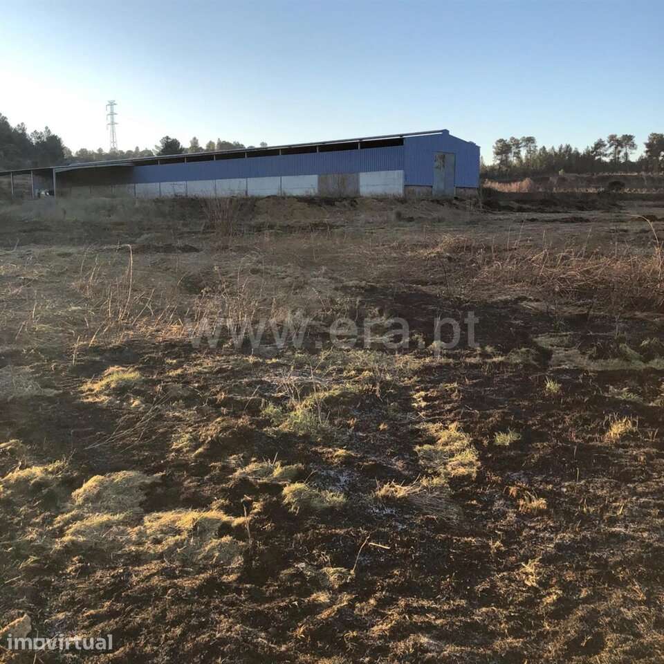 Herdade T3 / Fundão, Catrão - Grande imagem: 2/20