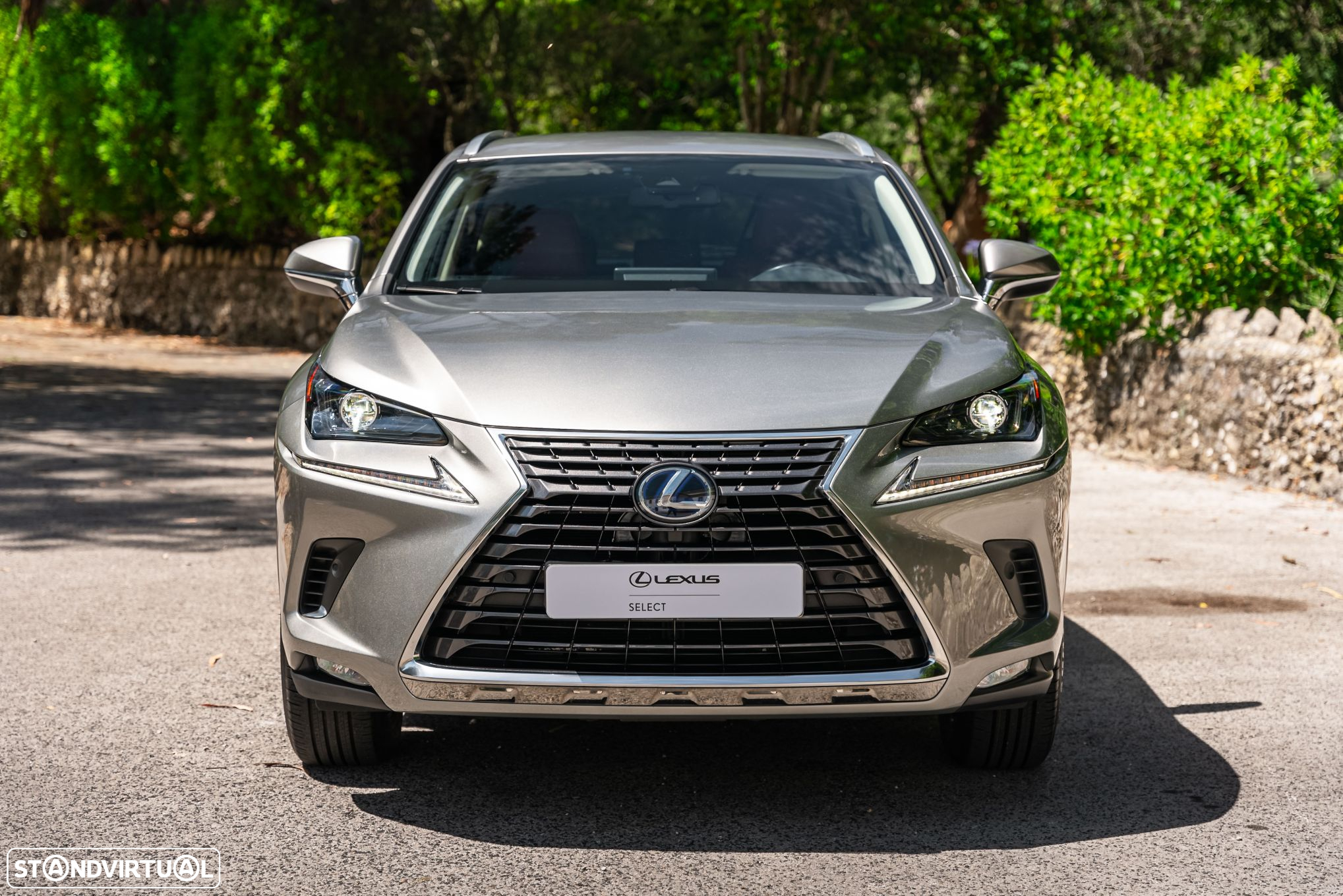 Lexus NX 300h - 2
