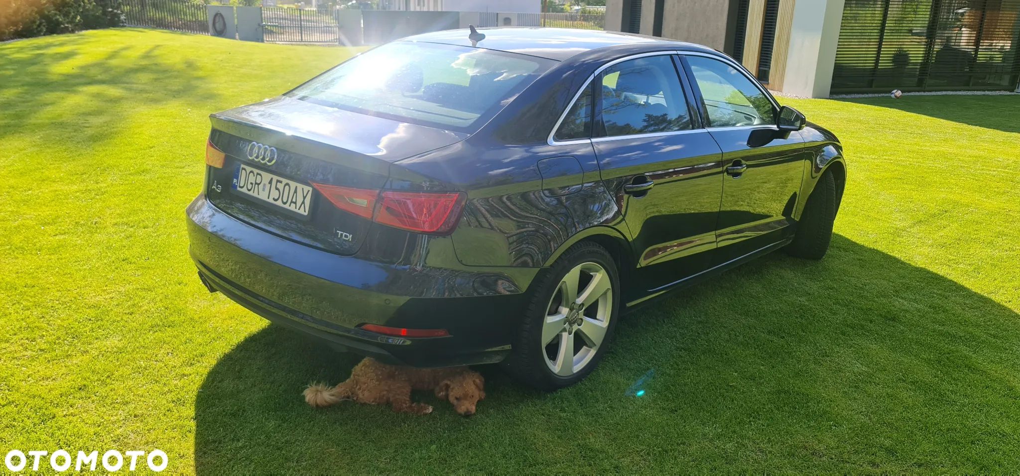 Audi A3 2.0 TDI Ambiente - 1