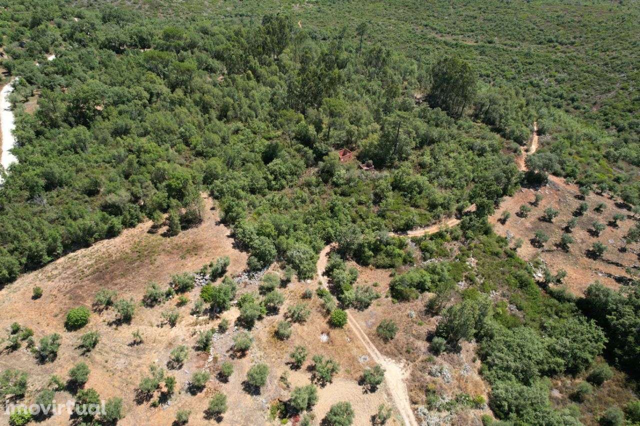 Terreno Rústico 3 minutos da Praia Fluvial do Agroal - Grande imagem: 5/13