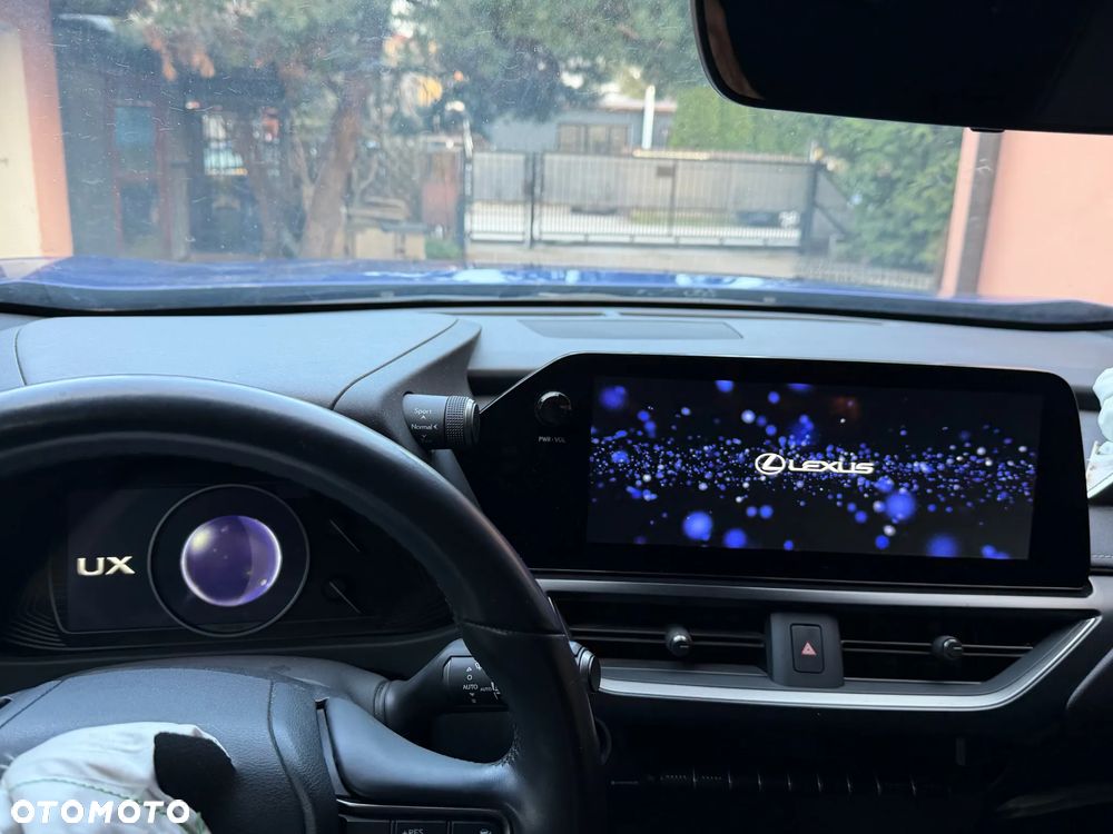 Lexus UX 250h F Sport 2WD - 21