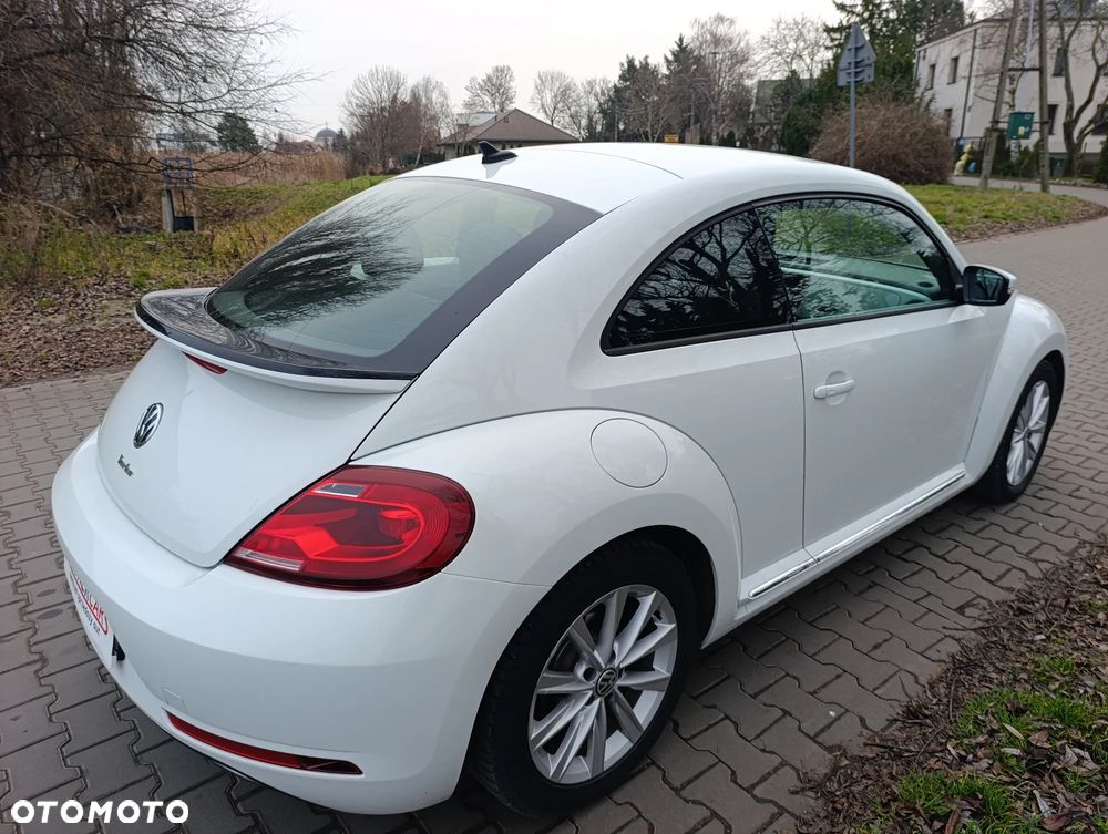 Volkswagen Beetle - 5