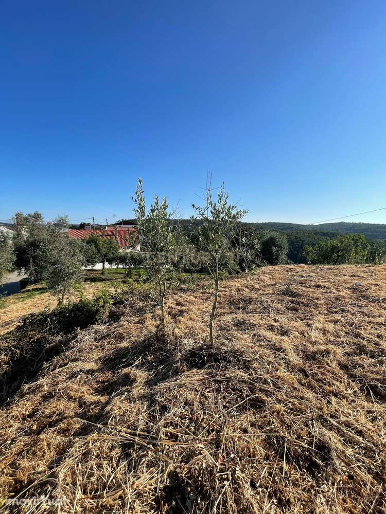 Terreno em Carreira Mato, Aldeia do mato - Grande imagem: 4/8