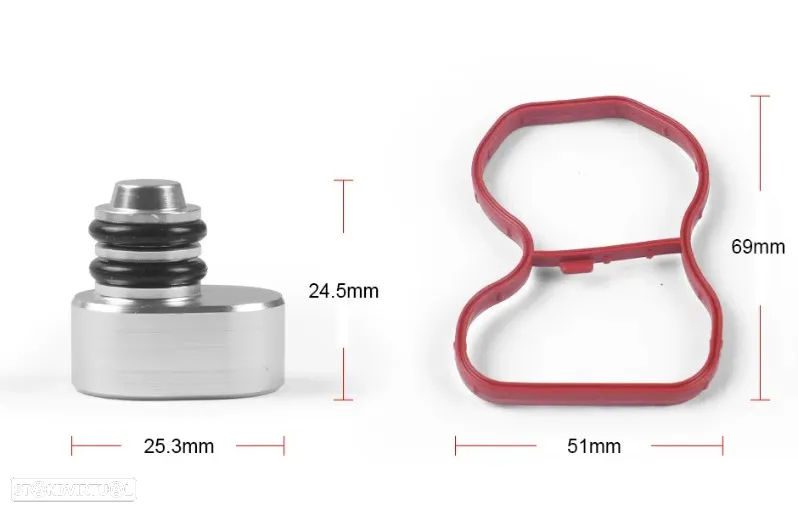 Kit remoção substituição borboletas coletor de admissão BMW N47, N57, M47, M57 - 12