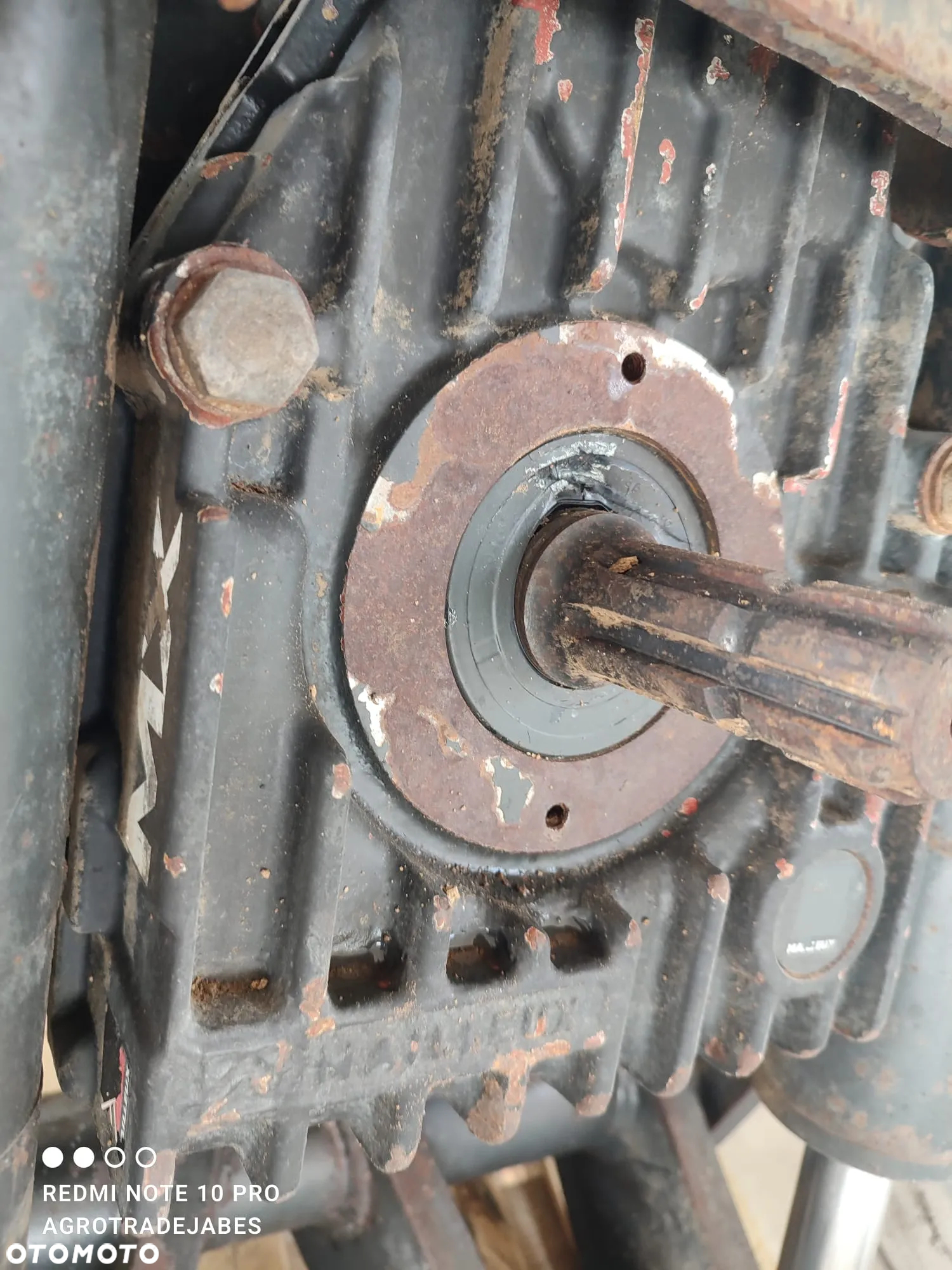 TUZ WOM Massey Ferguson 8250 - 8