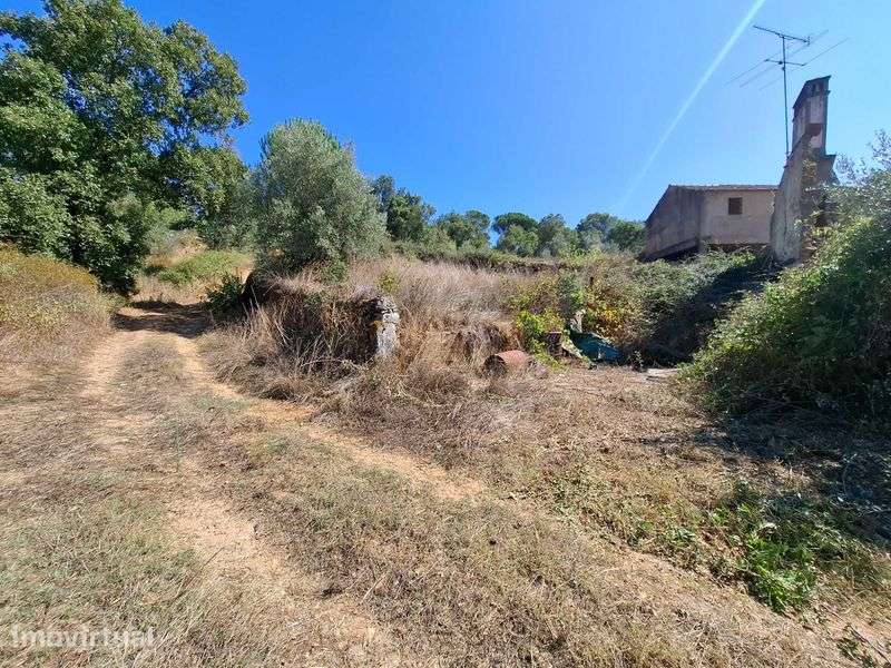 Quinta urbana (520m2) e rustica (26970m2) em Ceras / Tomar - Grande imagem: 2/12