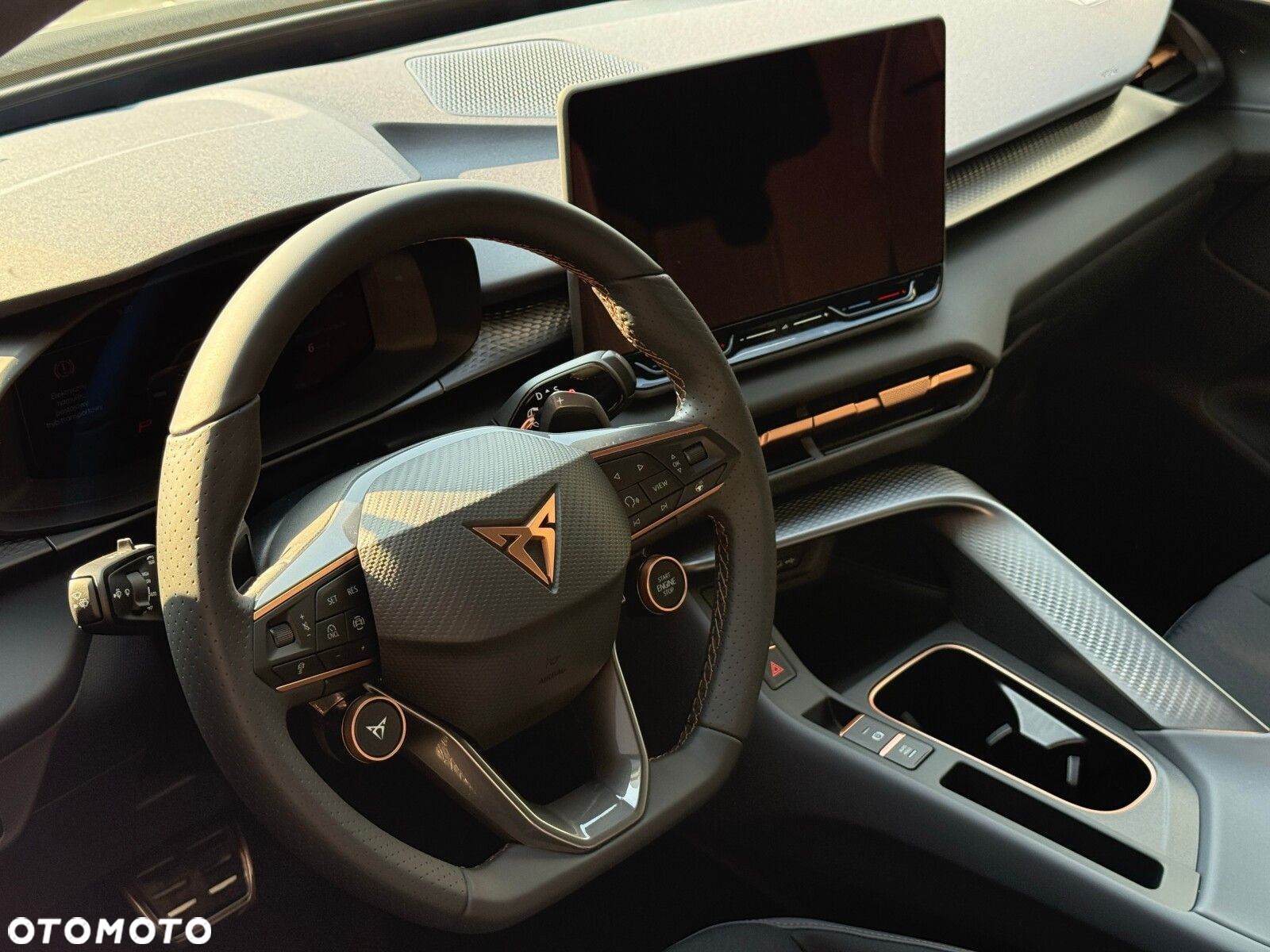 Cupra Terramar - 18