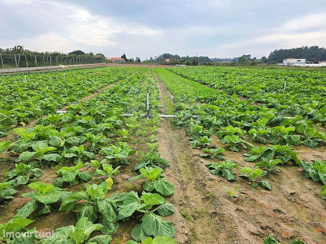 Terreno  para venda - Grande imagem: 3/3