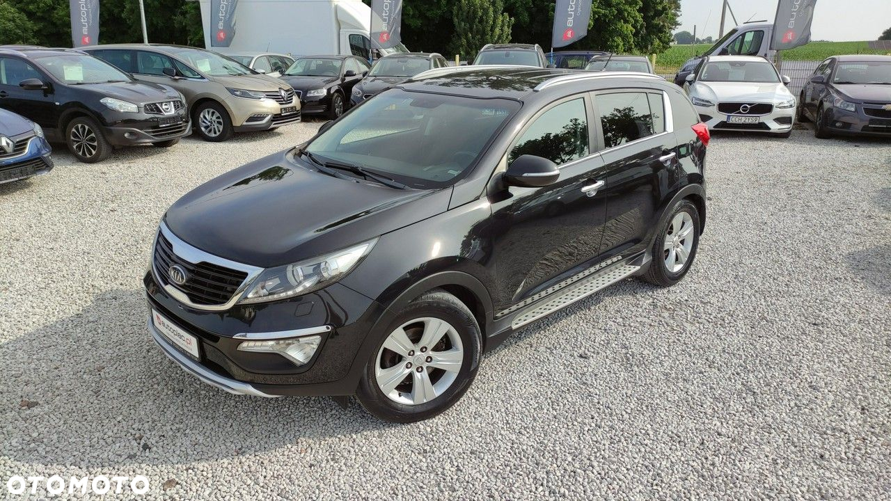 Kia Sportage - 30