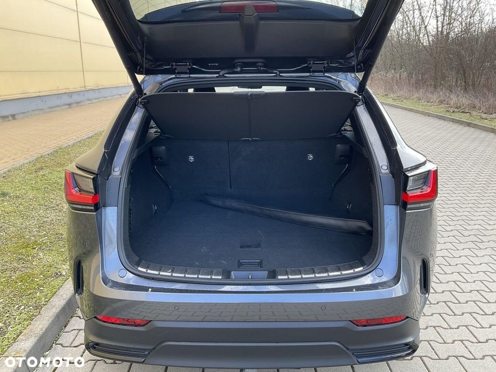 Lexus NX 350h Omotenashi AWD - 32
