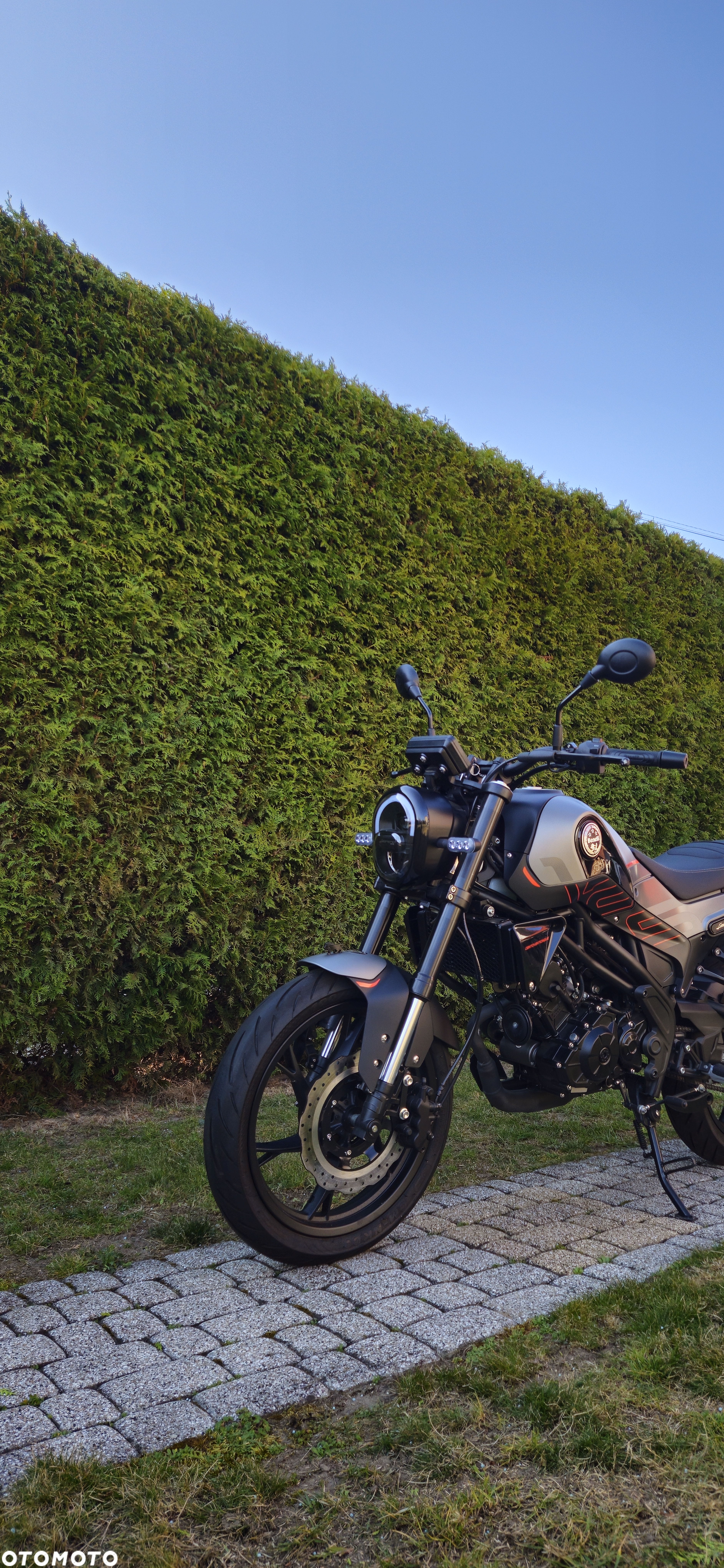 Benelli Leoncino - 3
