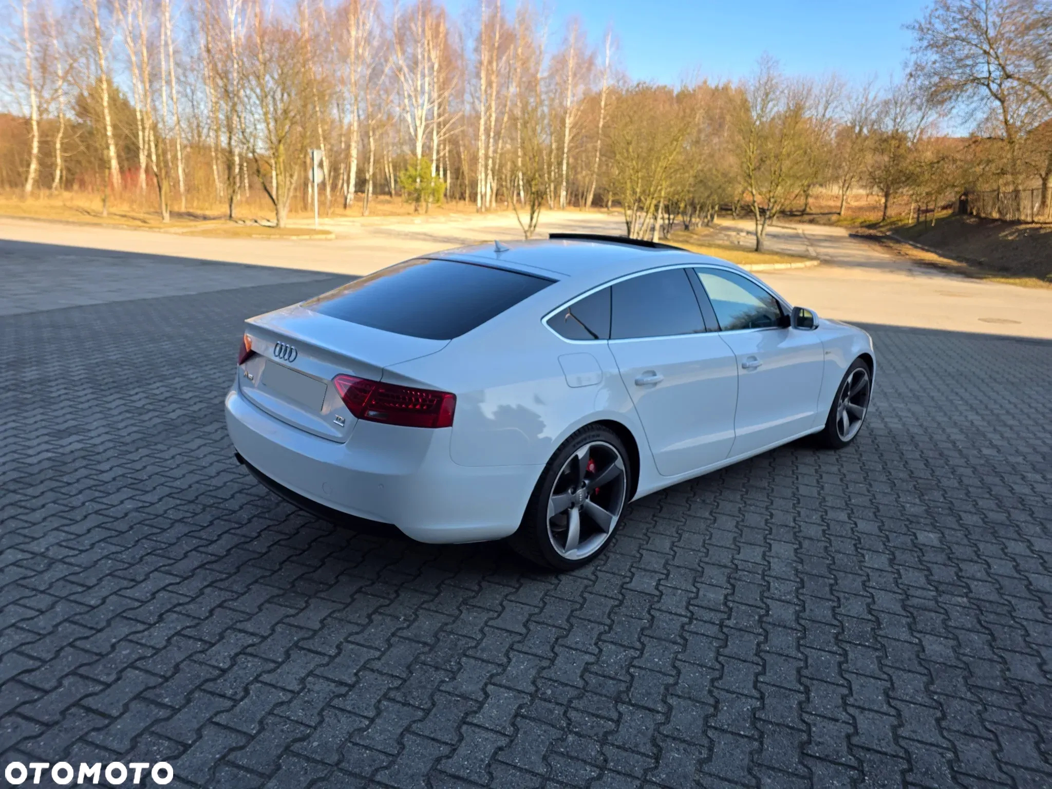 Audi A5 2.0 TDI Sportback quattro DPF S tronic - 15