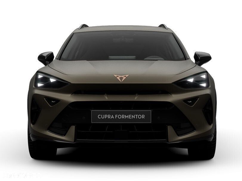 Cupra Formentor 2.0 TSI 4Drive DSG - 6