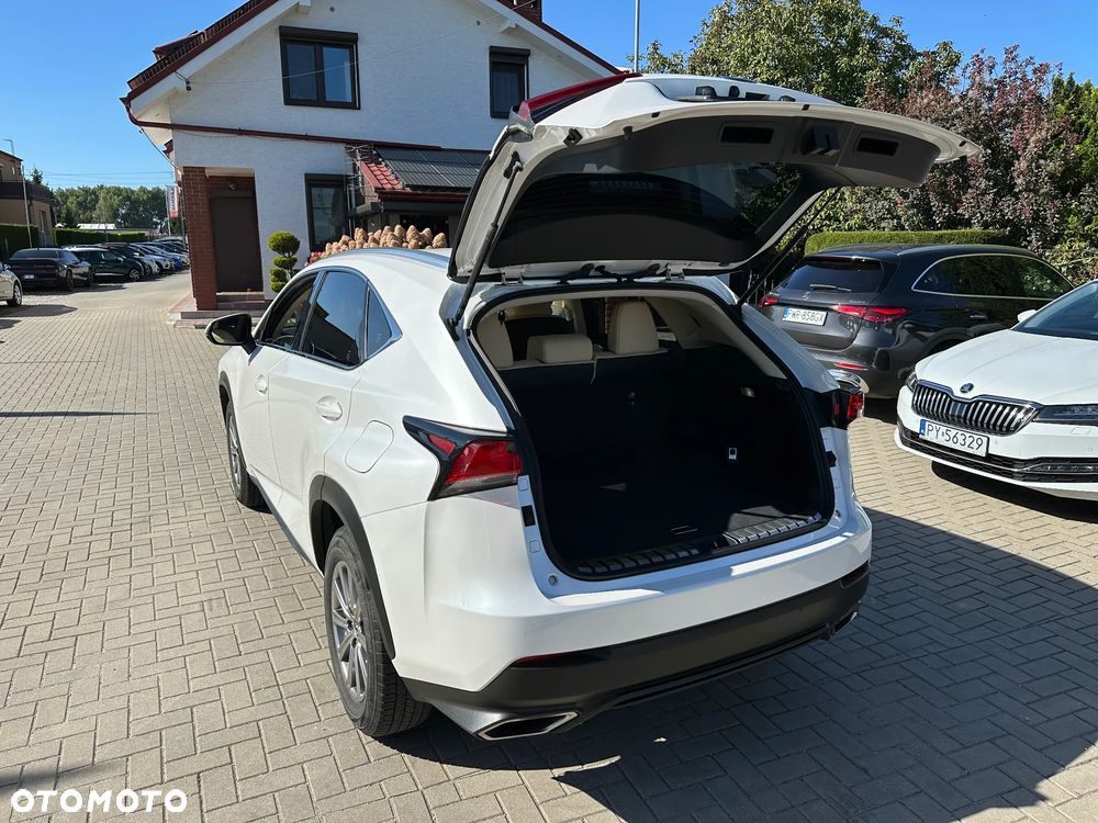Lexus NX - 26