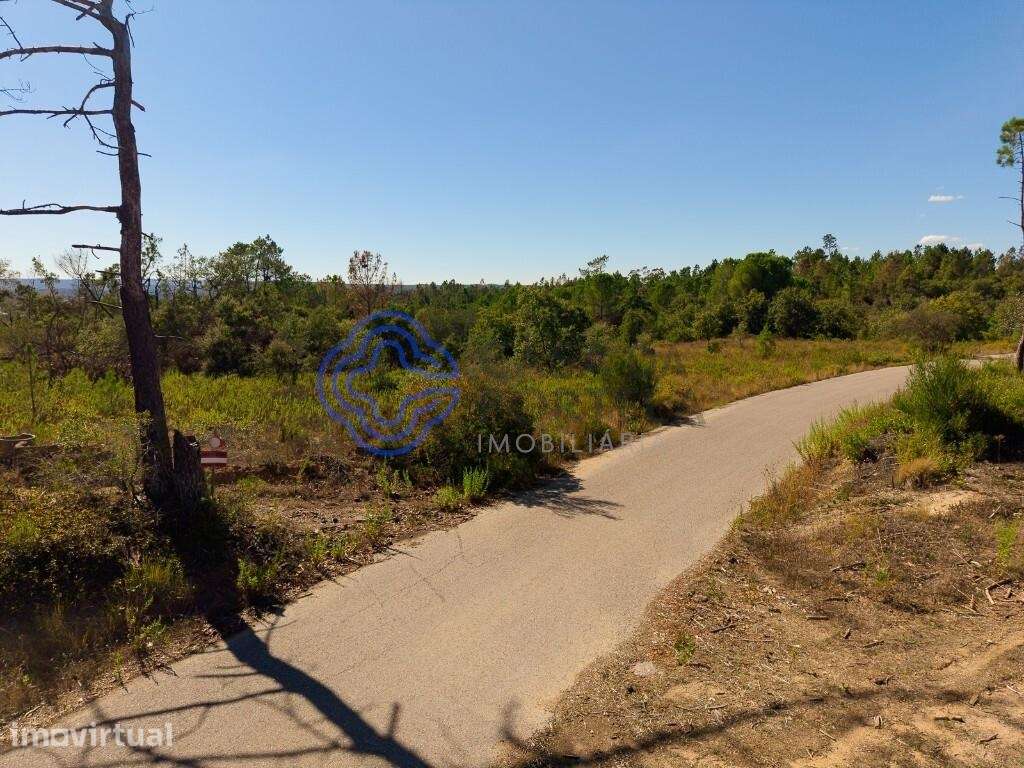Terreno Florestal 7.120 m2 com Pinheiros, Eucaliptos e Sobreiros – Tom - Grande imagem: 3/31