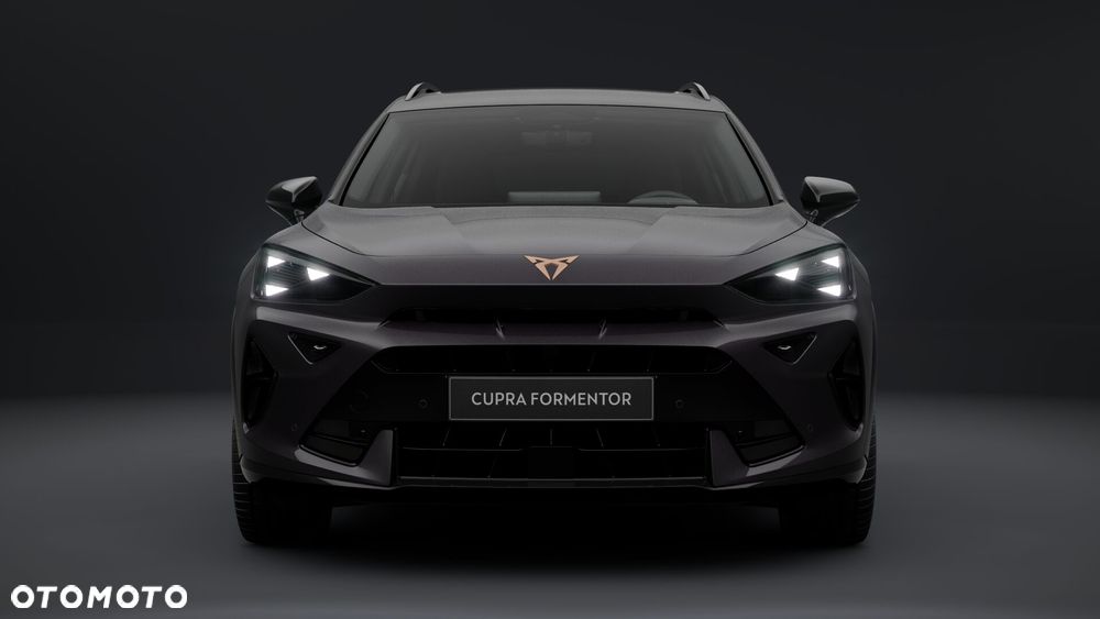 Cupra Formentor 2.0 TSI 4Drive DSG - 8