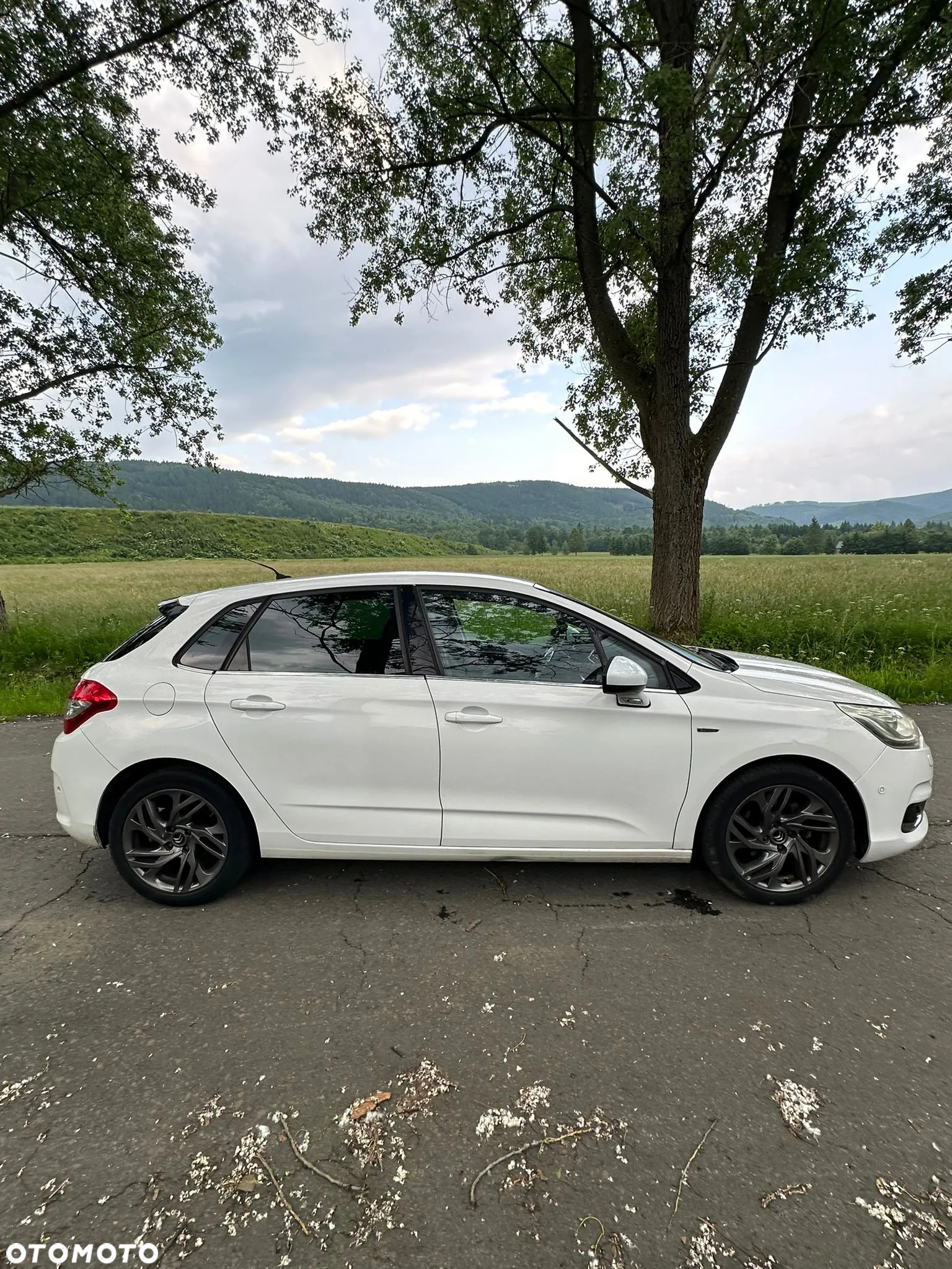 Citroën C4 1.6 HDi Exclusive - 10