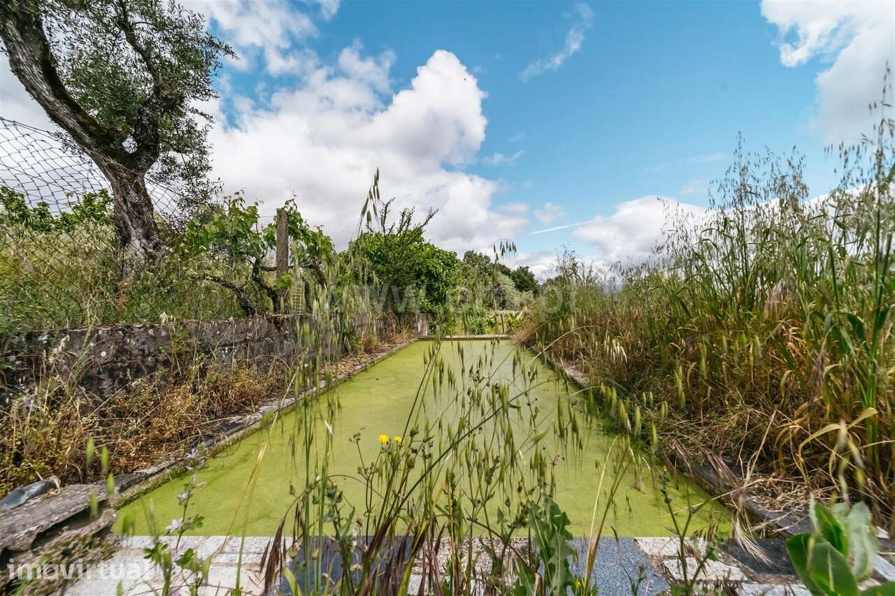 Terreno Agrícola Fundão - Grande imagem: 4/13