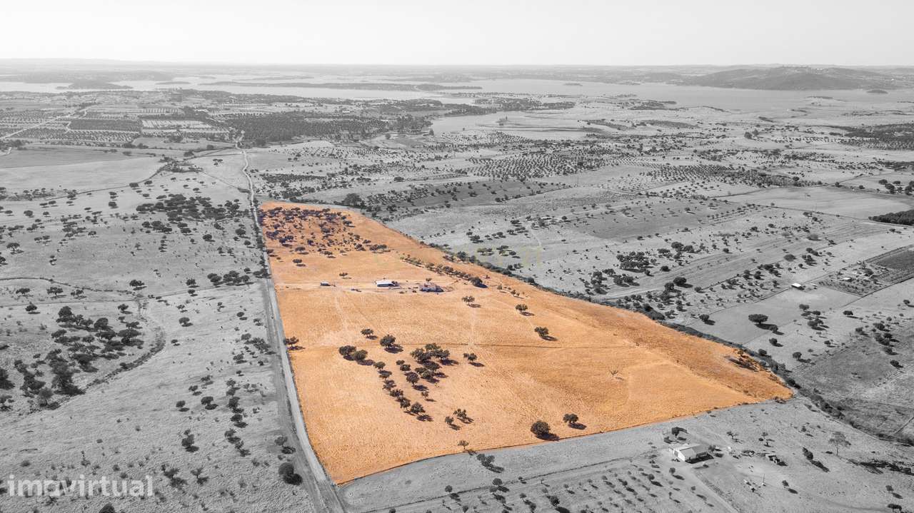 Terreno Rustico com monte Alentejano para reabilitação - Mourão - Grande imagem: 3/14