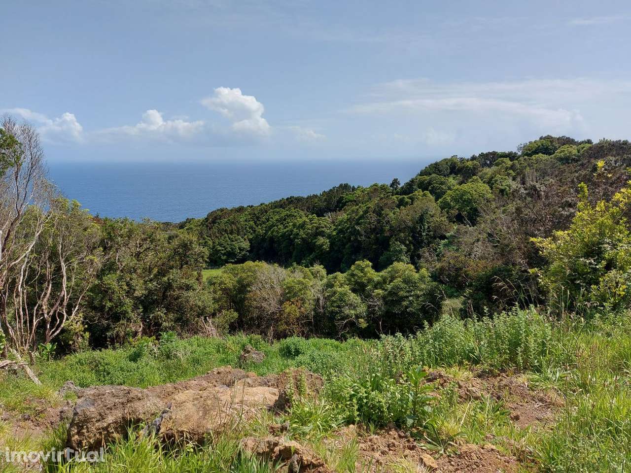 Fantástico Terreno com Projeto Aprovado - Pico - Azores - Grande imagem: 3/18