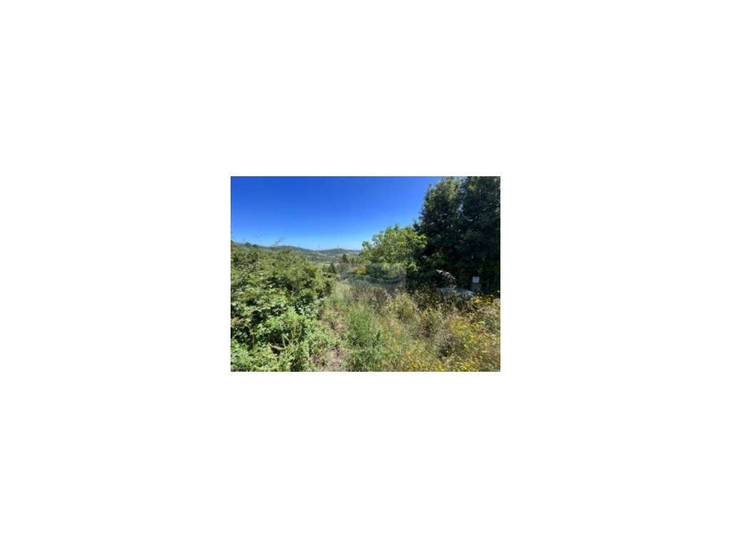 Terreno à venda em Torres Vedras zona da Barrocas, Santa Maria e Ma... - Grande imagem: 4/11