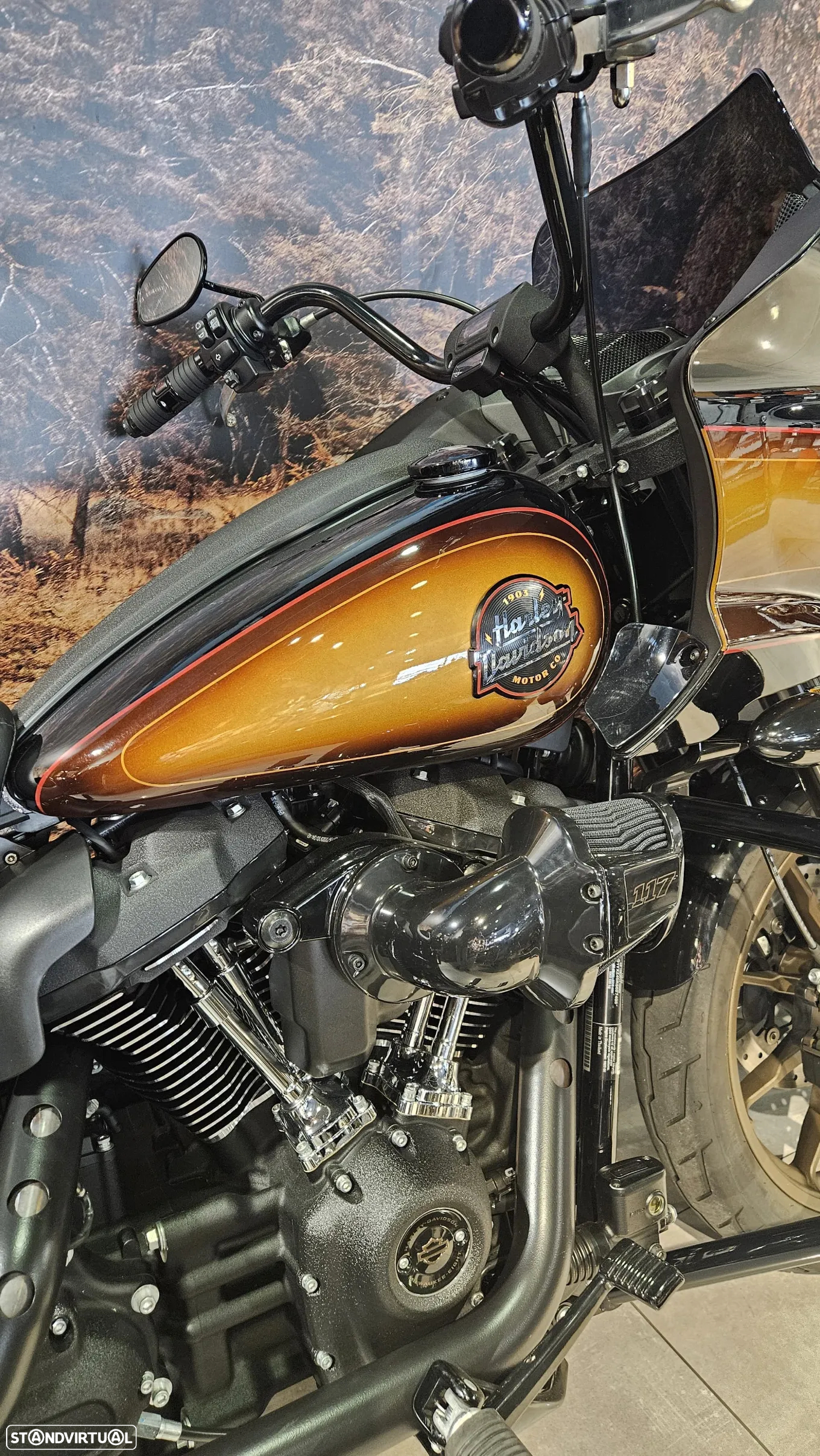 Harley-Davidson Low Rider ST - 2