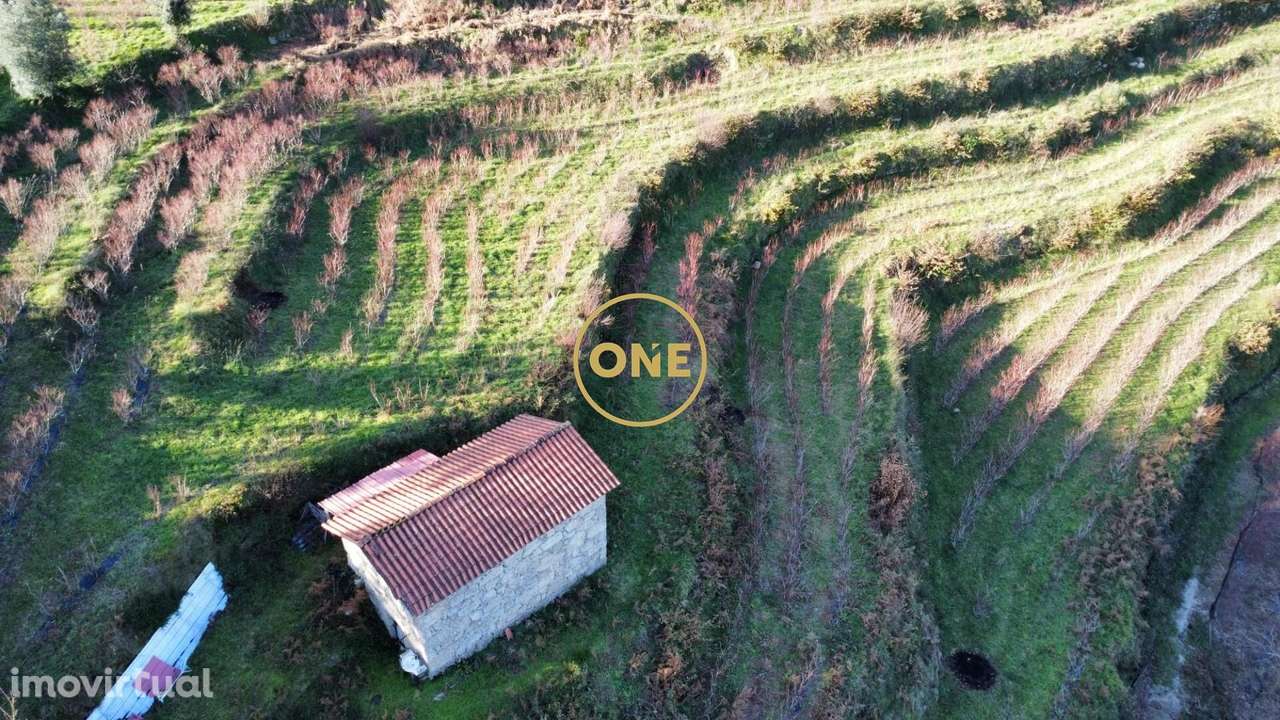 Terreno c/ Ruina - Grande imagem: 5/19