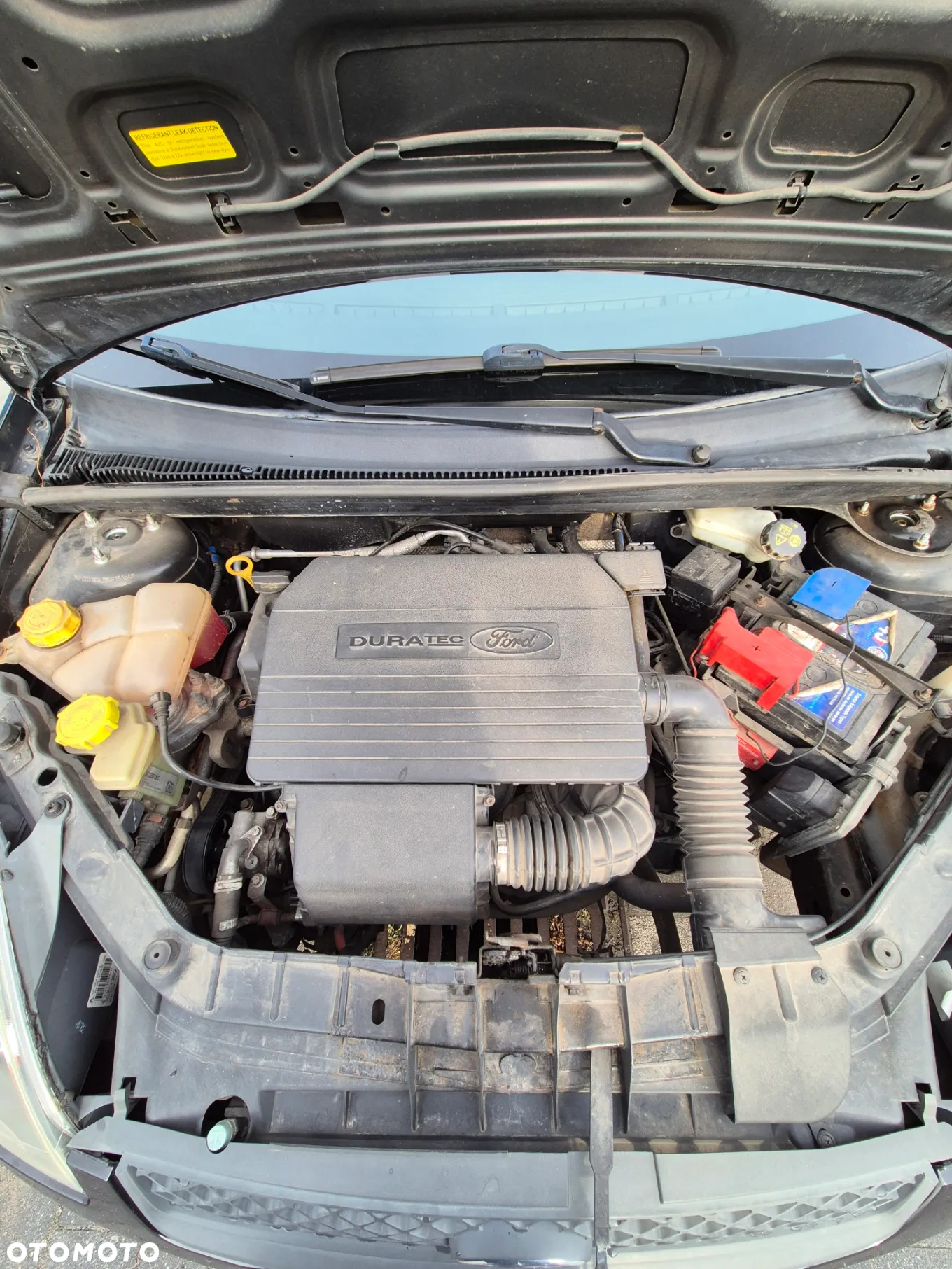 Ford Fiesta 1.3 - 16