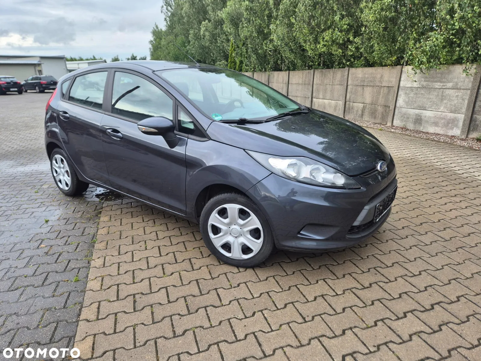 Ford Fiesta - 10
