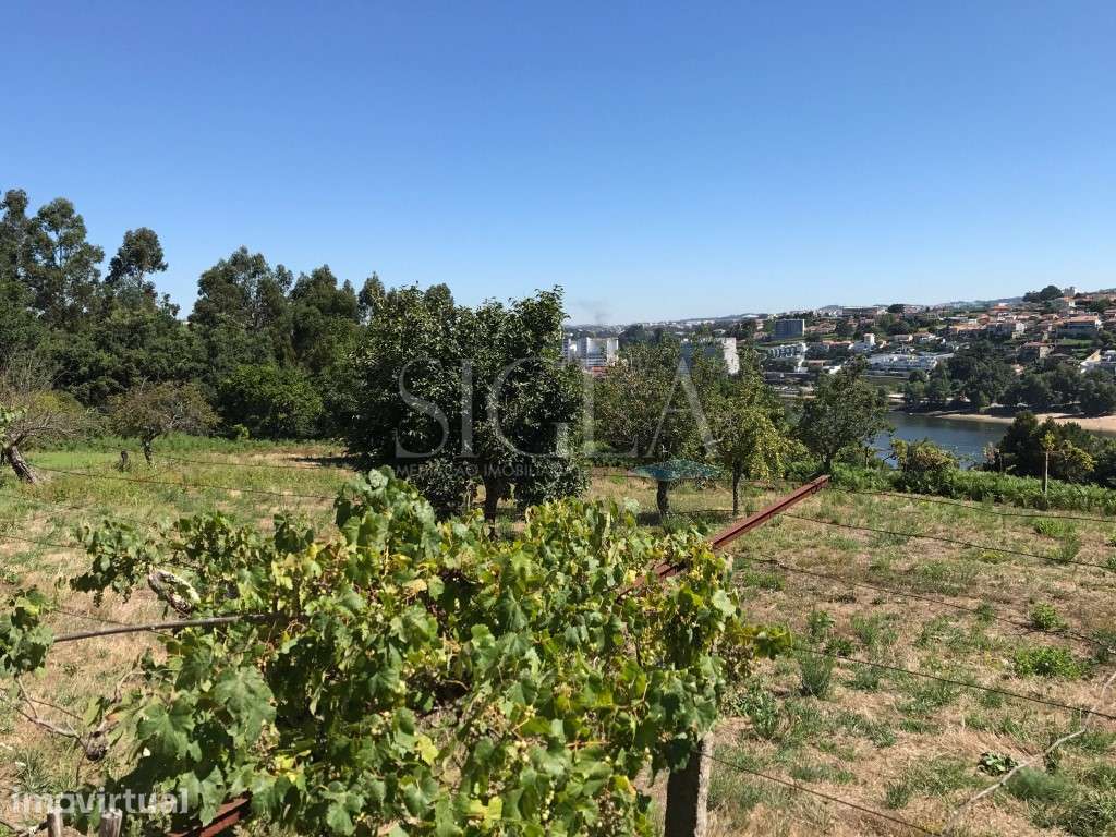 Terreno em Oliveira do Douro - Grande imagem: 4/5