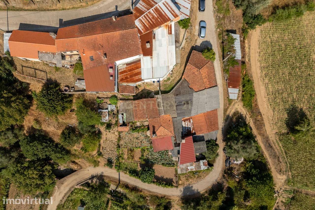 Moradia Rustica T3 à venda em Ribeira de Aveledo – Penacova - Grande imagem: 3/19