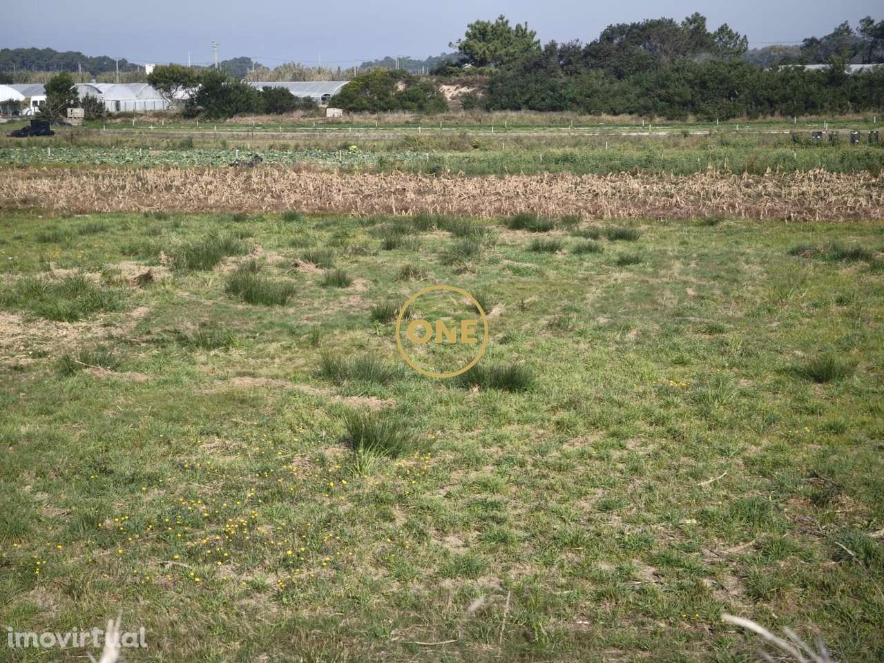 Terreno rústico em Estela - Grande imagem: 4/7