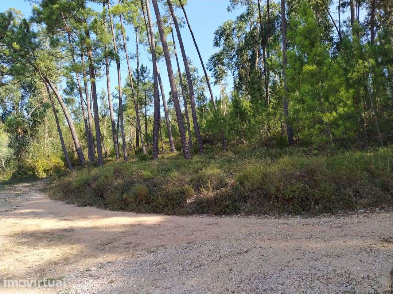 Terreno Para Construção - Grande imagem: 4/5