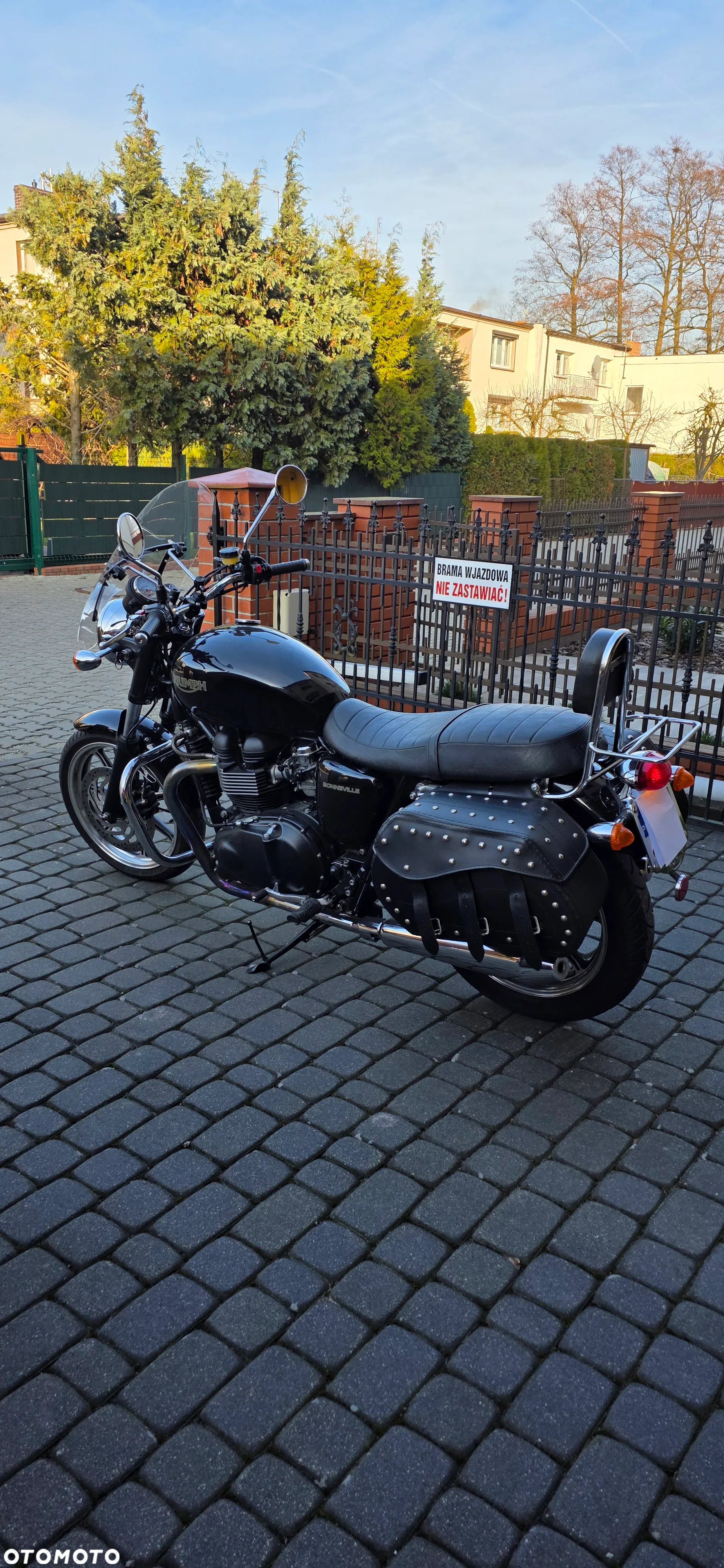 Triumph Bonneville - 3