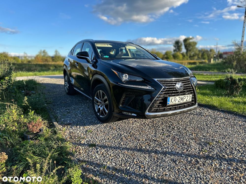 Lexus NX 300h Elegance Optimum AWD - 2