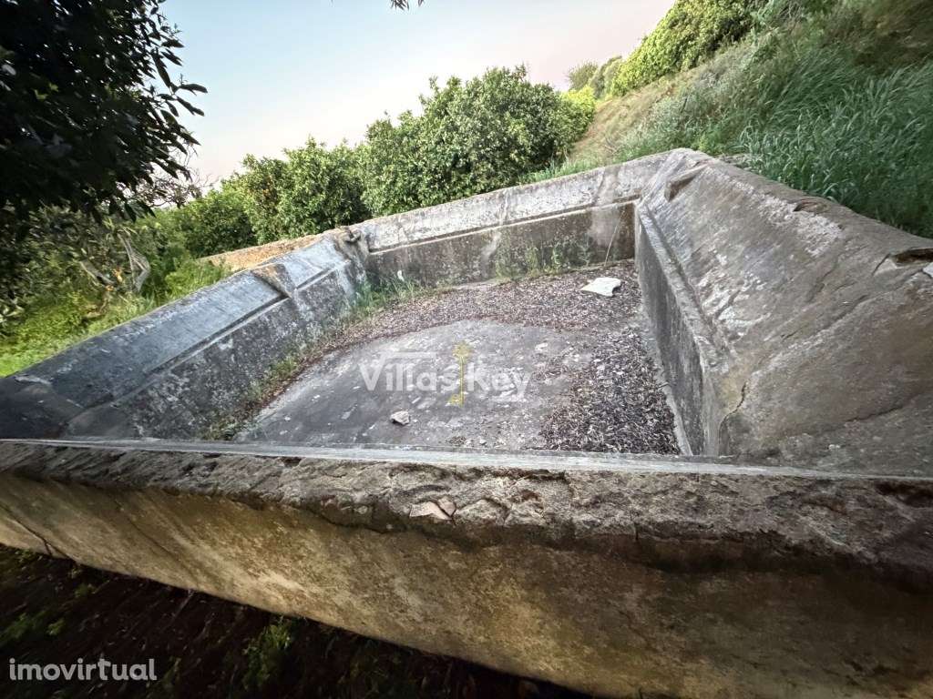 Terreno rústico com terra fértil para agricultura, tanque,nora,bons... - Grande imagem: 5/21