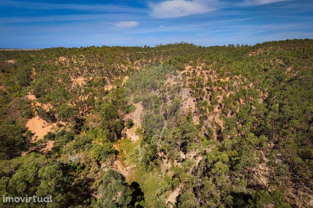 Terreno  para venda - Grande imagem: 3/10