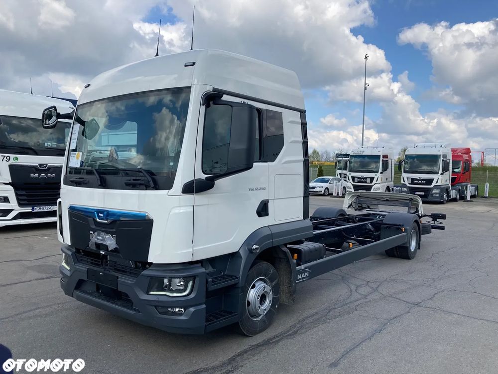 MAN MAN TGL 12.250 4X2 BL CH - 12