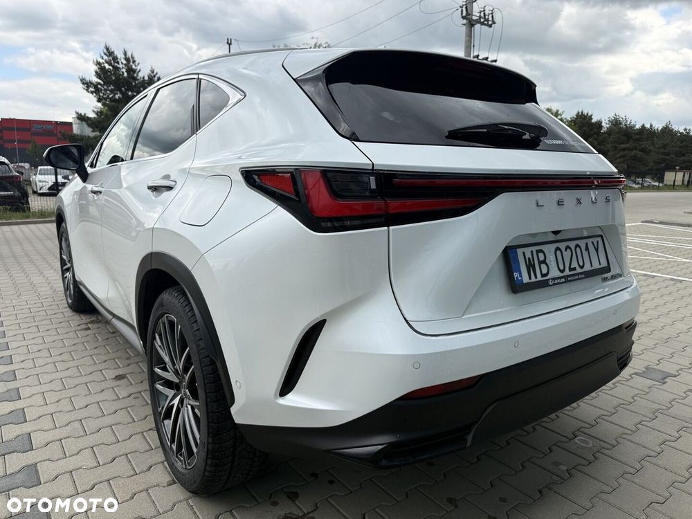 Lexus NX - 6