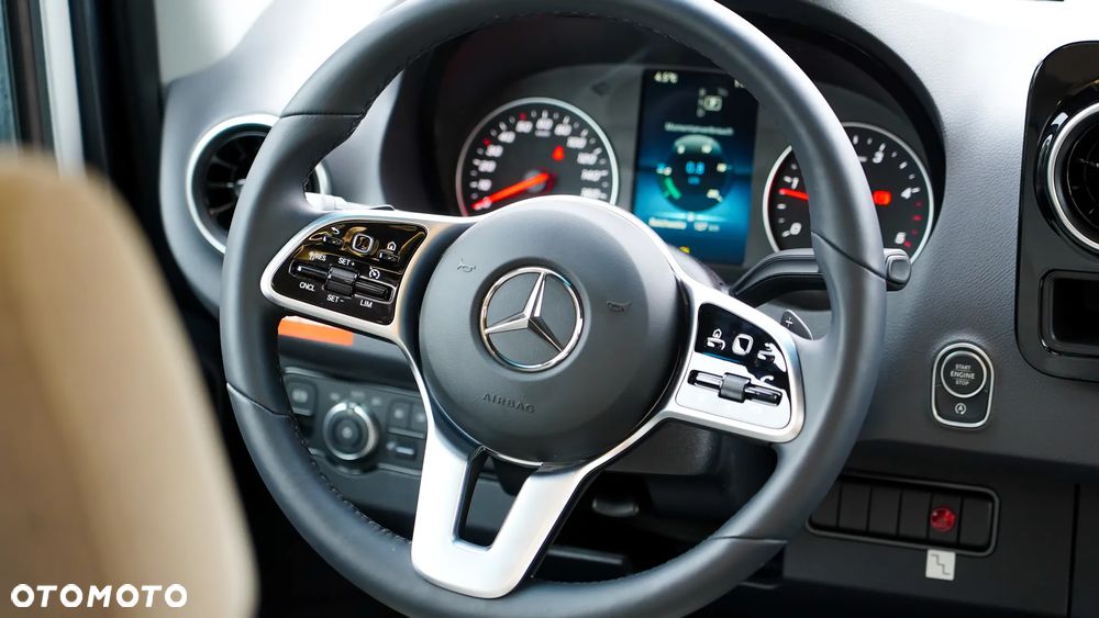 Frankia Neo MT 7 BD - 12