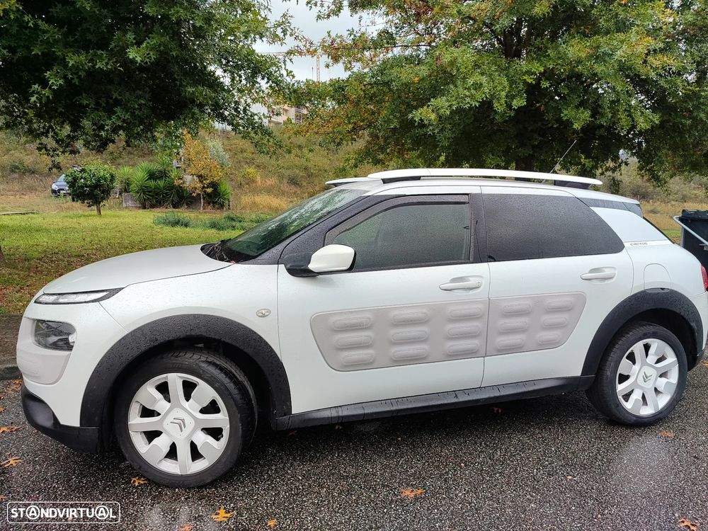 Citroën C4 Cactus 1.2 PureTech Rip Curl - 12