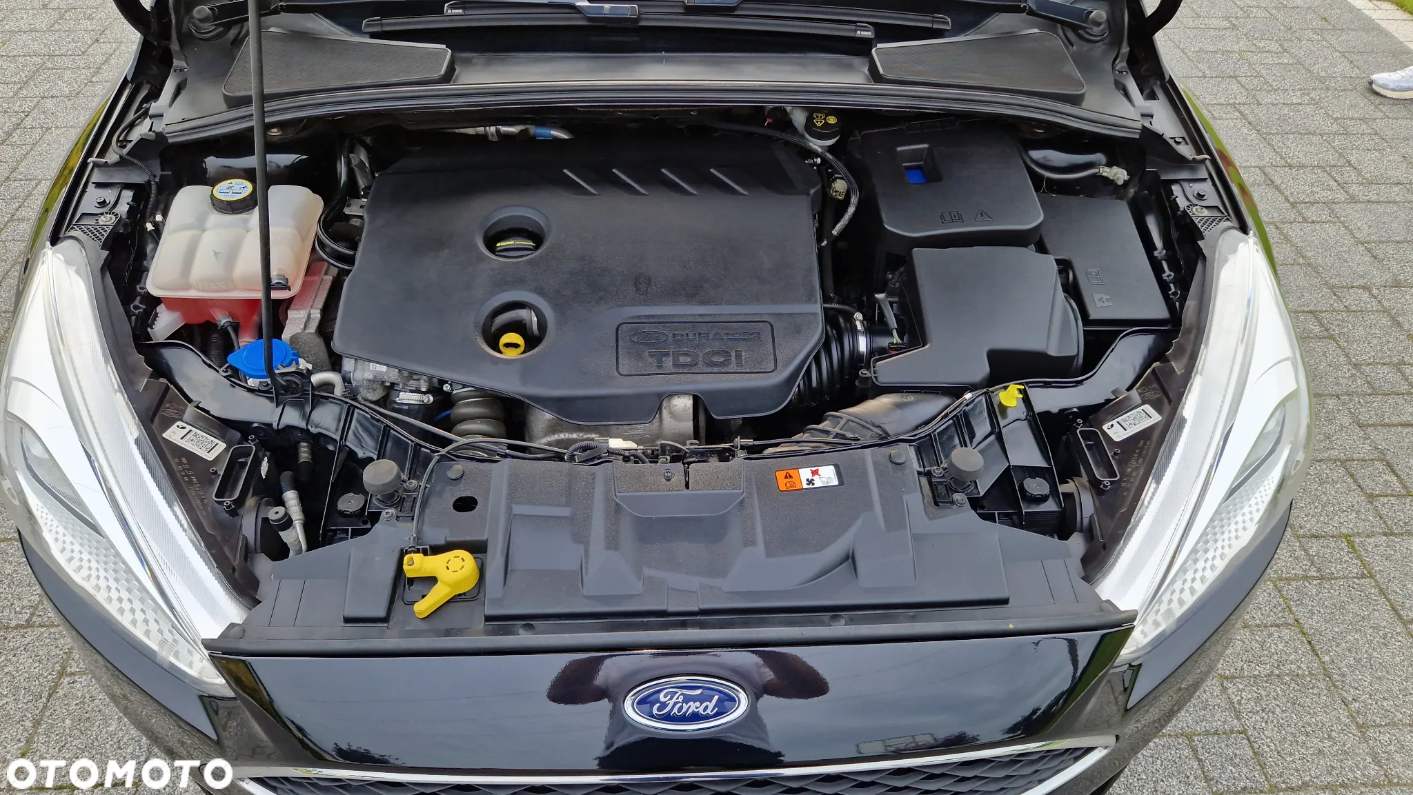 Ford Focus Turnier 1.6 TDCi DPF Titanium - 34