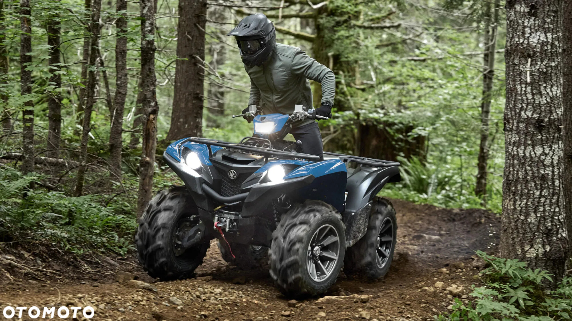 Yamaha Grizzly